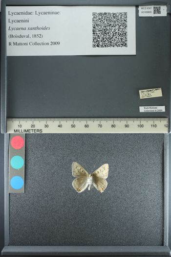 Media type: image;   Entomology 183805